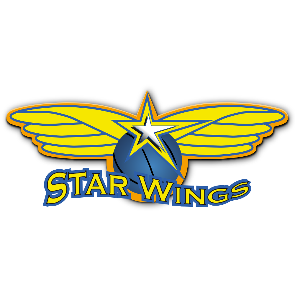 Starwings Basket